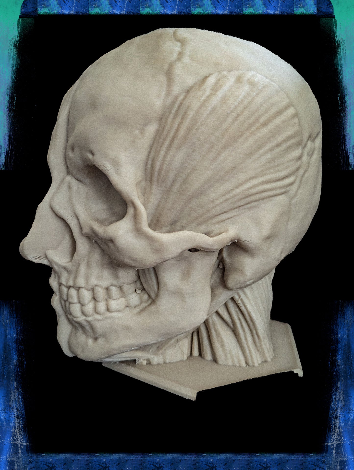 Anatomically correct human head headphone stand